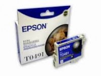 Epson T0491 墨水盒 Ink Cartridge #C13T049180 – Black 